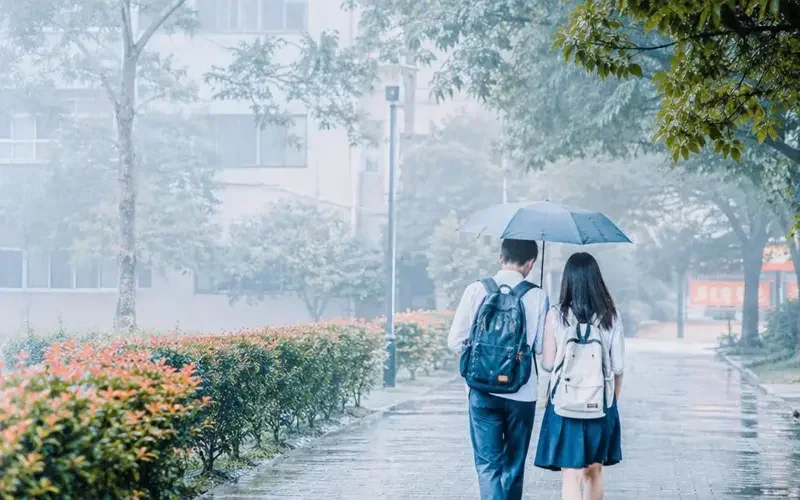 《伞下心动》凭什么成为甜宠黑马？三大原因说清 - 成人短剧漫剧资讯配图
